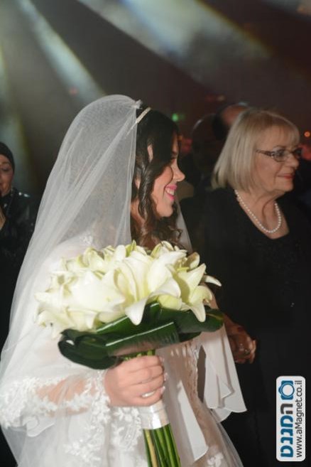 תמונה גדולה